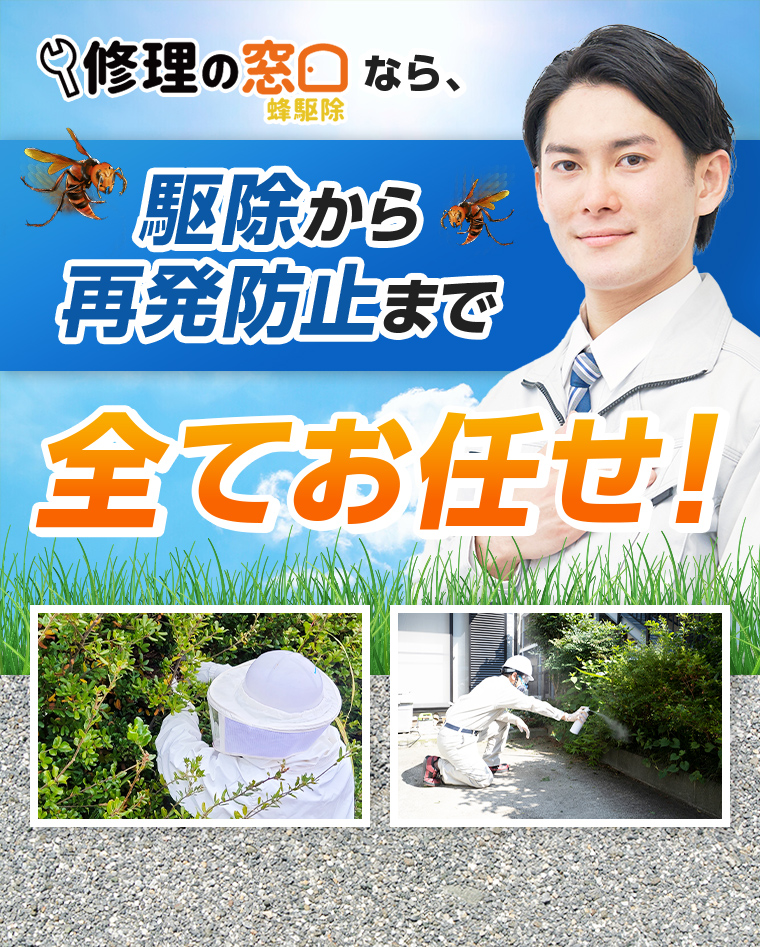 ハチ駆除の窓口なら、駆除から再発防止まで全てお任せ！
